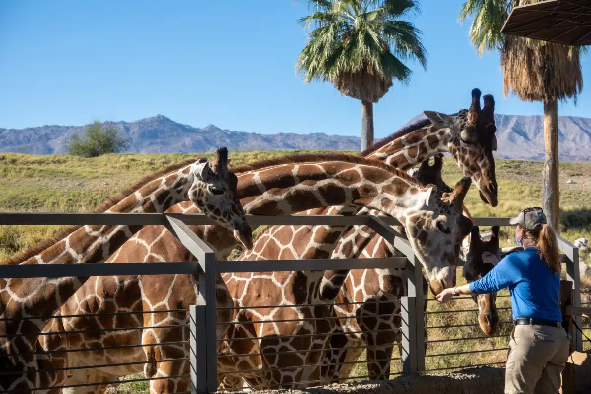 San Diego attractions you need to visit