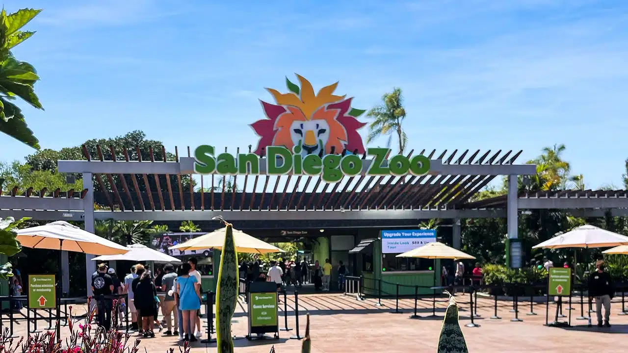 Entrance view of the San Diego Zoo with signage and tropical landscaping.
