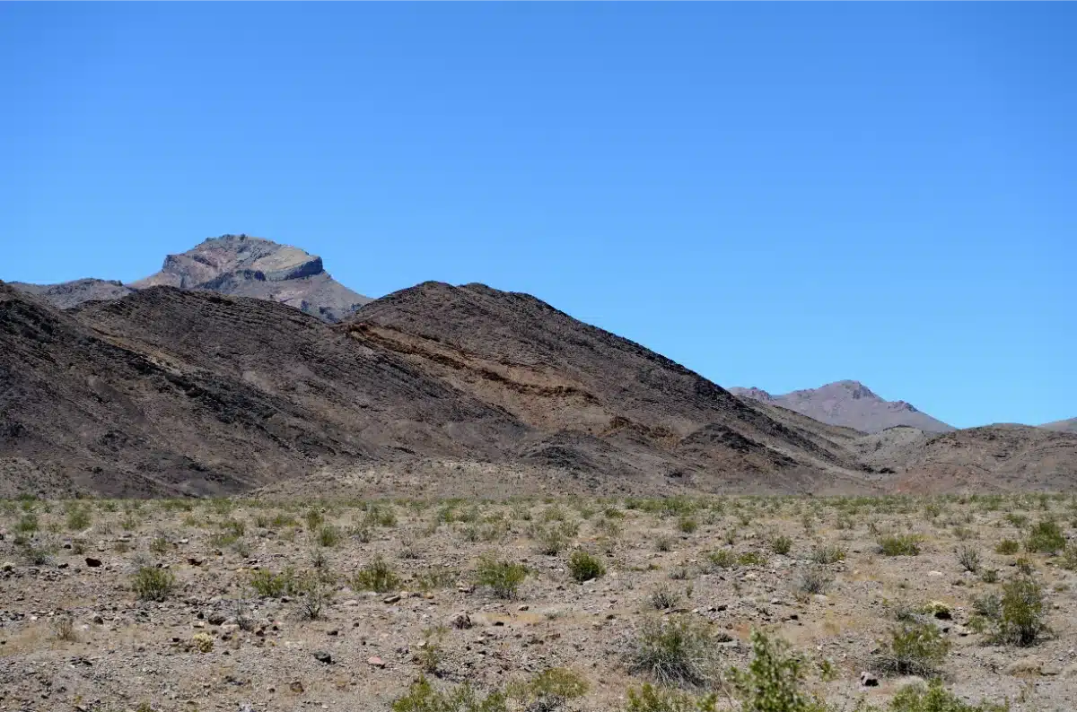 Desert landscape with sparse vegetation, rocky hills, and a clear blue sky in the background—experience scenery like this when you visit San Diego.