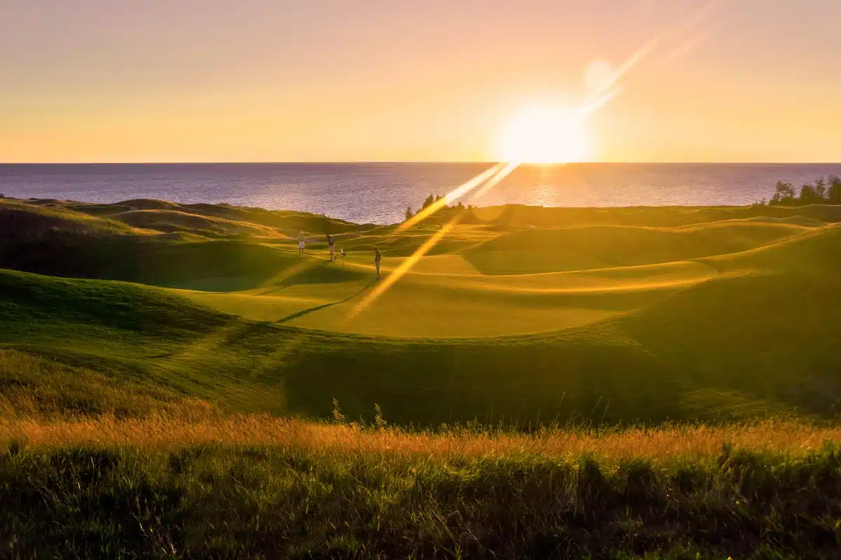 Torrey Pines is a beautiful golf course in san diego